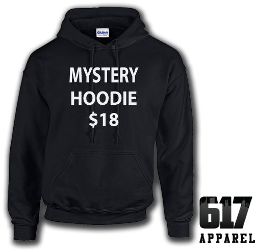One LARGE HOODIE Mystery T-Shirt $17